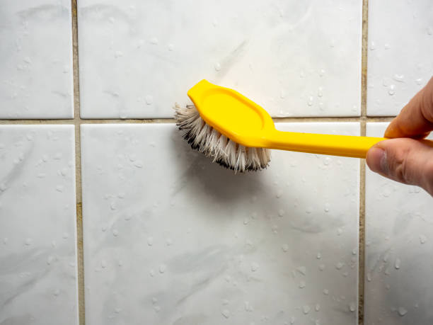 Best Mold Removal and Inspection  in Nampa, ID