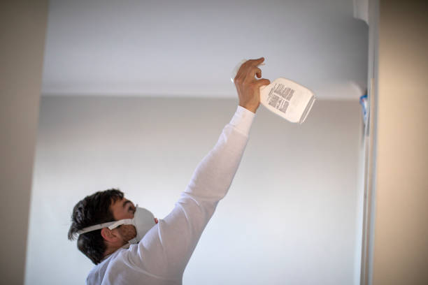 Best Mold Inspection  in Nampa, ID