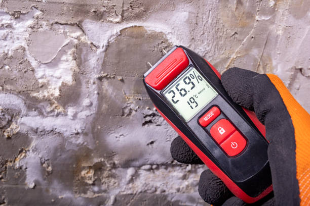 Best Mold Removal Company Near Me  in Nampa, ID