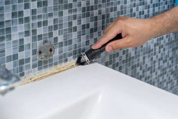 Best Black Mold Removal  in Nampa, ID