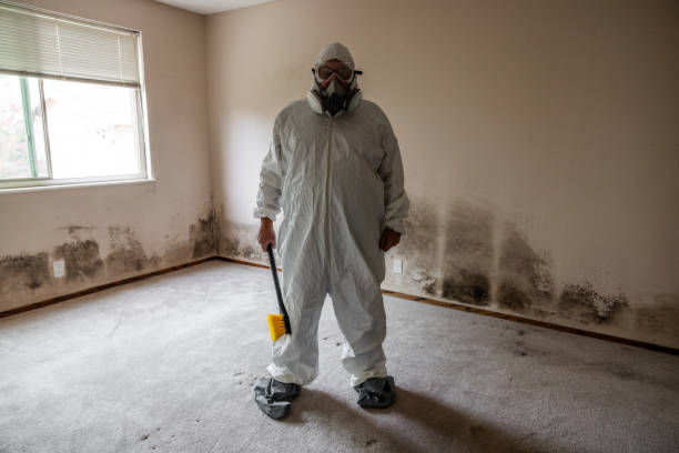 Home Mold Removal in Nampa, ID